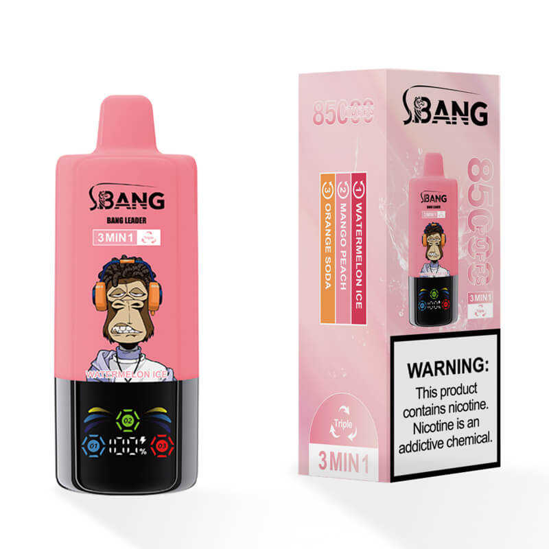 Bang Leader 85000 Puffs 3in1 Disposable Vape