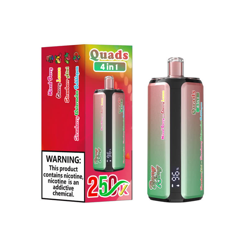 Bang King 250000 Puffs 4in1 Disposable Vape