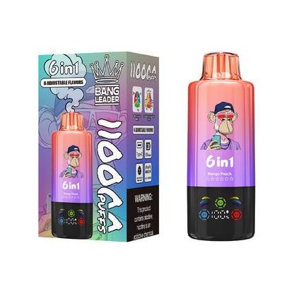 Bang Leader 110000 Puffs 6in1 Flavors Disposable Vape