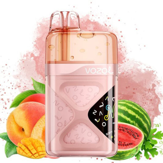 VOZOL NEON 60000 Puffs Disposable Vape